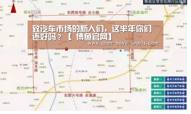  博鱼官网