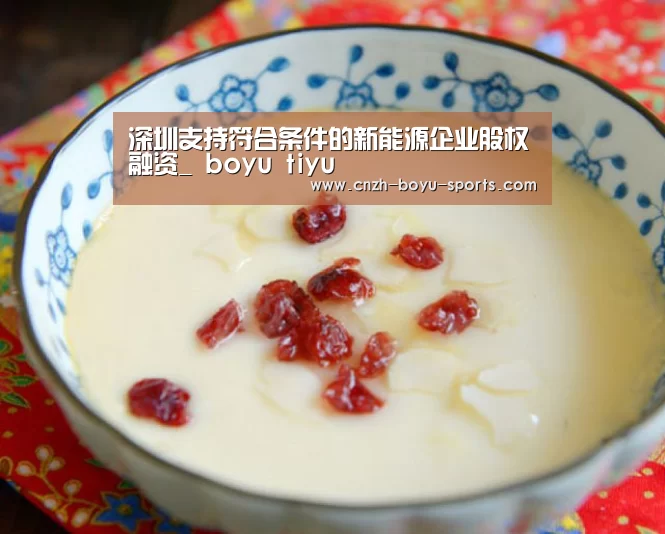 深圳支持符合条件的新能源企业股权融资_ boyu tiyu(图1) 博鱼体育